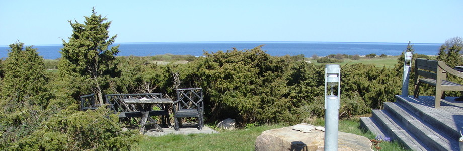 pageImage